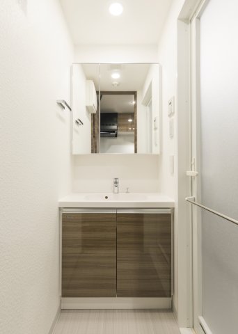 DIPS赤羽北WEST304号室 洗面