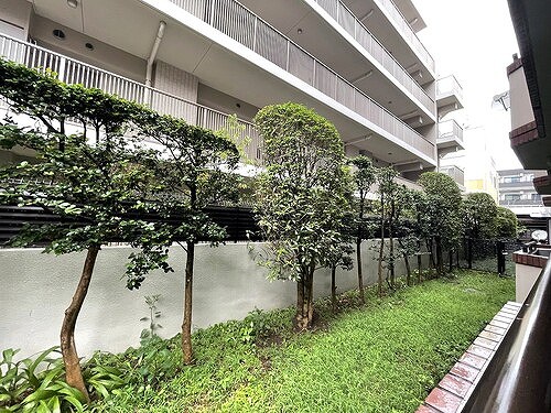 シャリエ練馬北町1階 バルコニーからの眺望