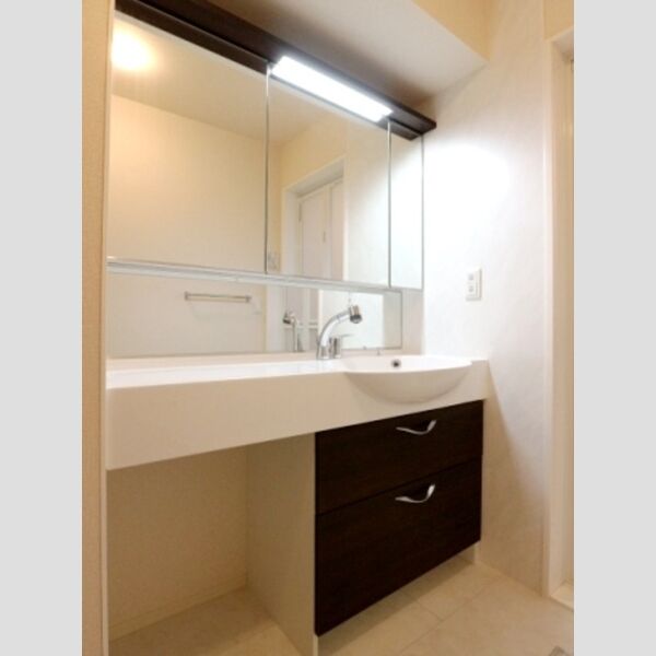 レーヴマニフィック南柏306号室 洗髪洗面化粧台
