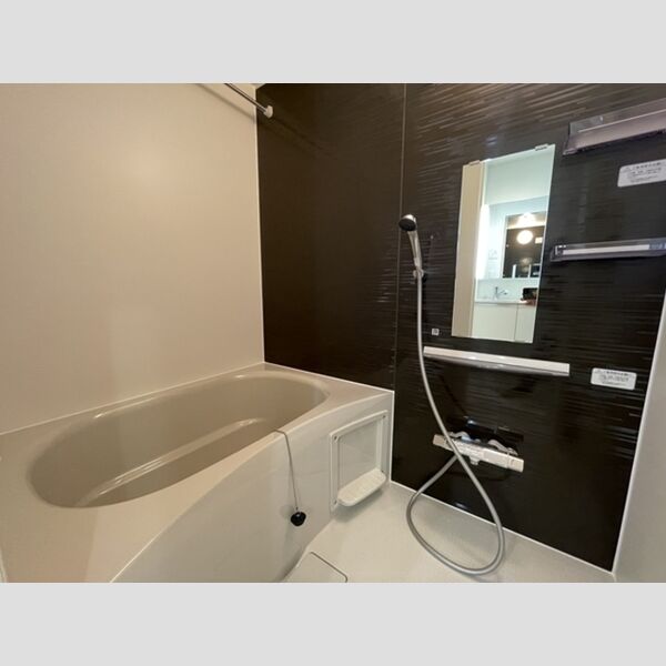 トリシア浦和302号室 浴室