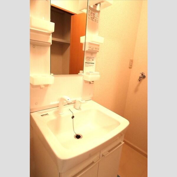 ル・ソレイユシェソワ　ABCDB101号室 洗髪洗面台