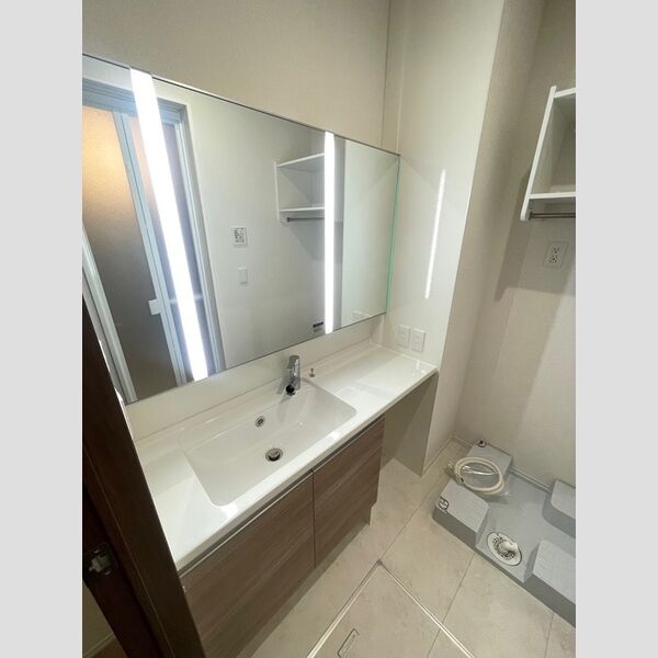 ラペーシュ湘南台101号室 洗面所