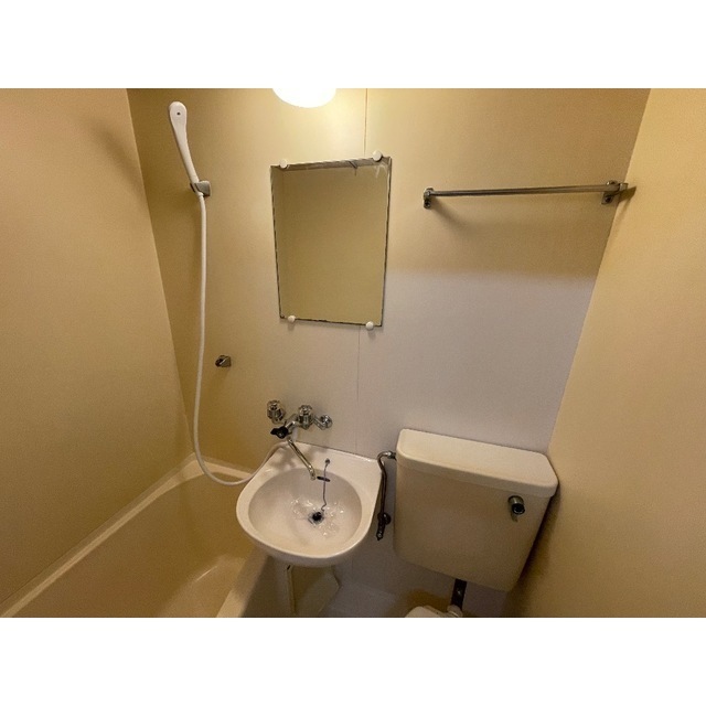 ホワイトバレー113号室 内観