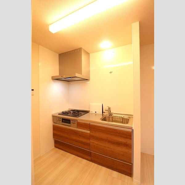 VILLA MASUDA Ⅱ202号室 キッチン