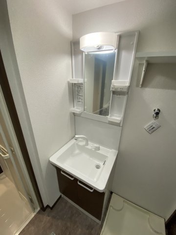 ベイルーム横浜生麦102号室 洗面