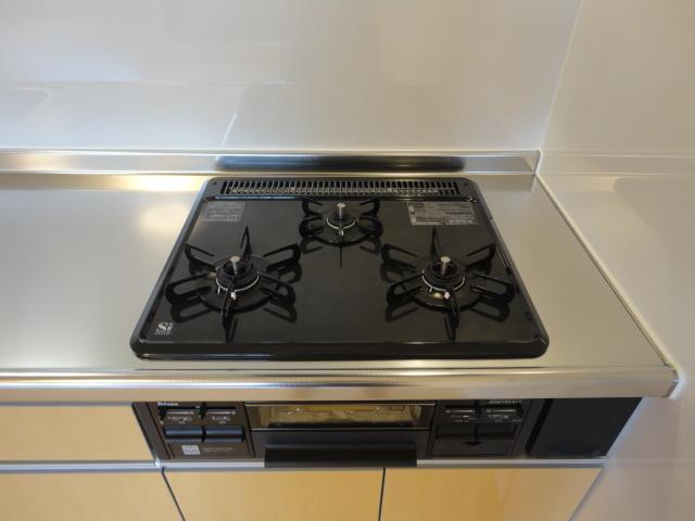 Ｇｒａｎｄｅｕｒ　Ｍ203号室 キッチン