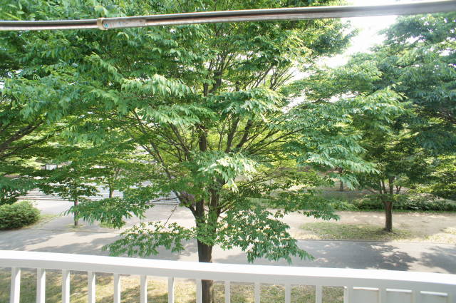 コーポ白百合　Ｅ棟E202号室 展望