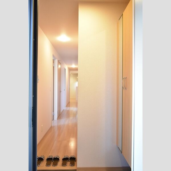 ダイヤソン 玄関