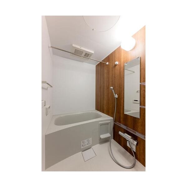 Ecoluxe202号室 お風呂