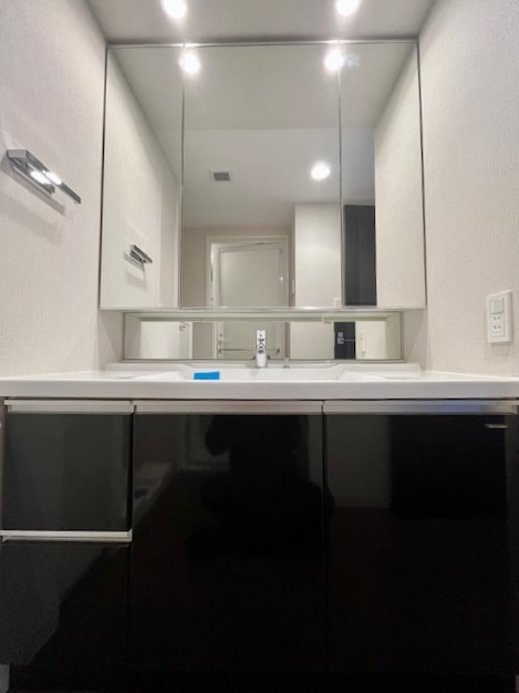 レジディアタワー上池袋（タワー棟）11階 洗面