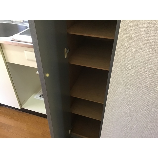 日神パレステージ上石神井第2401号室 内観