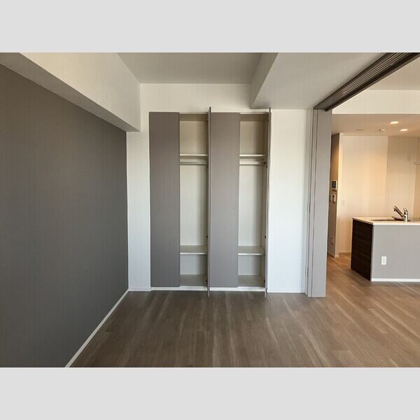 THE RejuvePort KISARAZU0903号室 収納