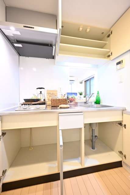 ヴィスタガーデン西荻窪 システムキッチン（2口ガスコンロ）/※家具・小物はイメージです