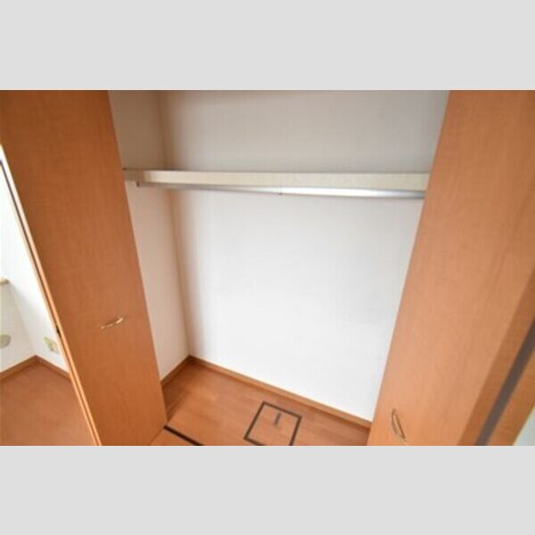 ベルシャイン厚木305号室 クローゼット