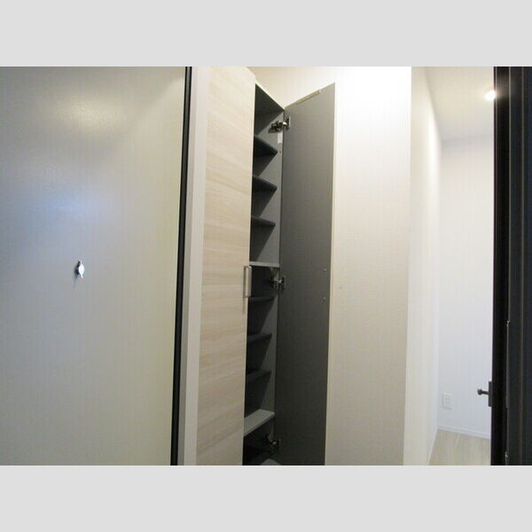 D-obvious シューズボックス(トールタイプ)