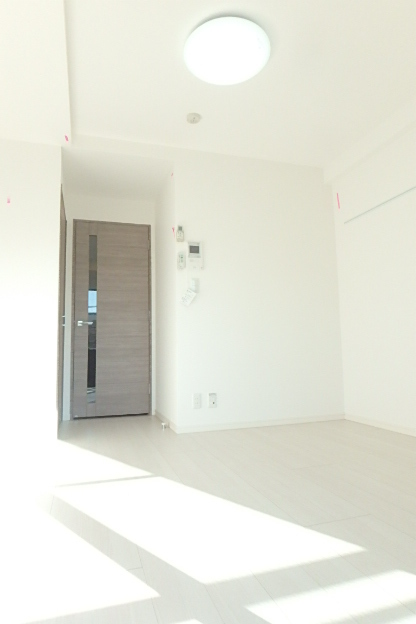 ガーラ・プレシャス川崎10階 広々とした洋室です