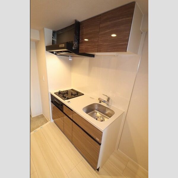 Glanpia501号室 キッチン