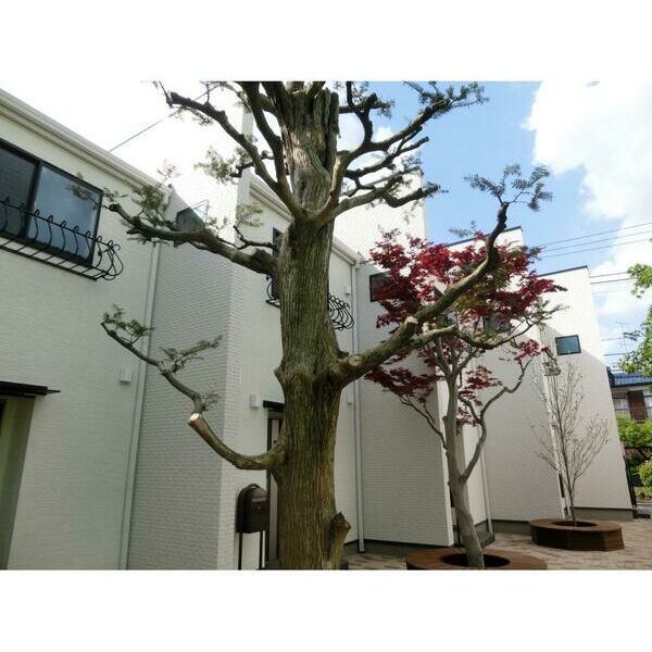 LA　ULUWEHI106号室 外観