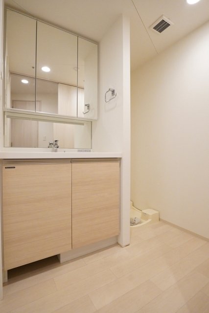 ＤｅＬＣＣＳ白山5階 洗面