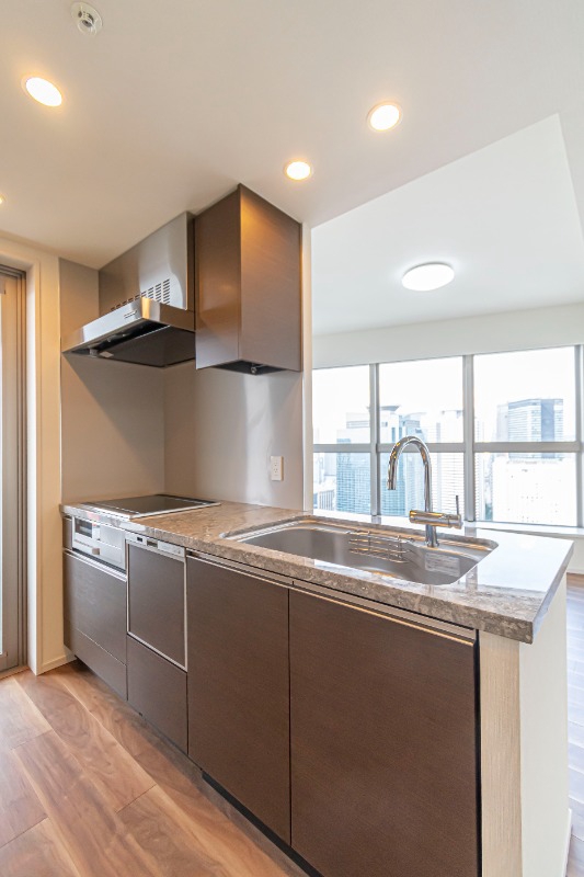 ザ・パークハウス西新宿タワー６０48階 内観