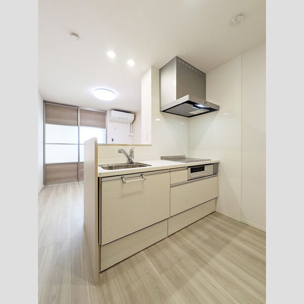 D-ROOM PREMIUM 多磨霊園駅205号室 キッチン