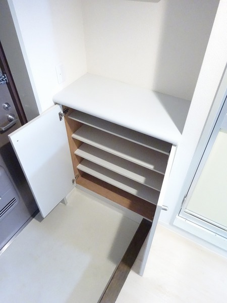 日神パレステージ横浜南 玄関