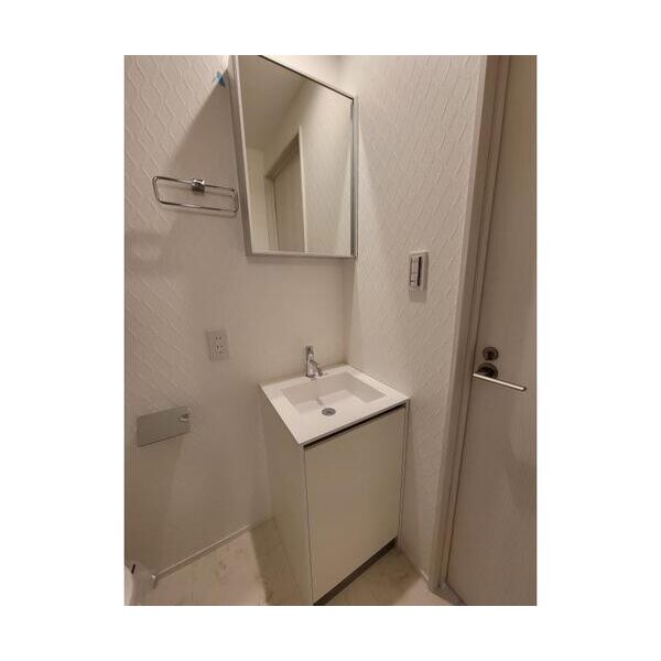 ReiGrande　Asakusa501号室 洗面