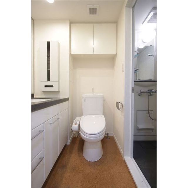 カスタリア水天宮Ⅱ1105号室 内観