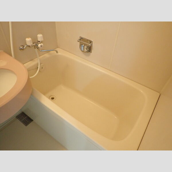 germer武蔵中原(ジェルメムサシナカハラ)307号室 バス(ユニット)