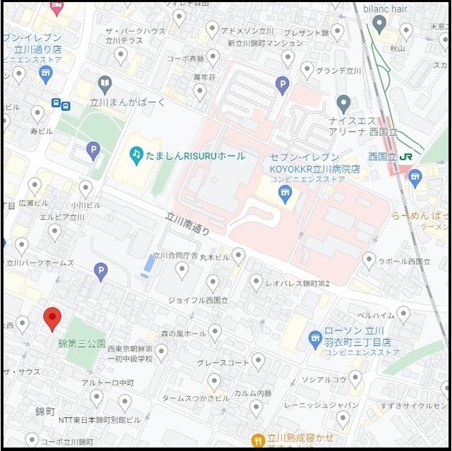 アムール錦 外観