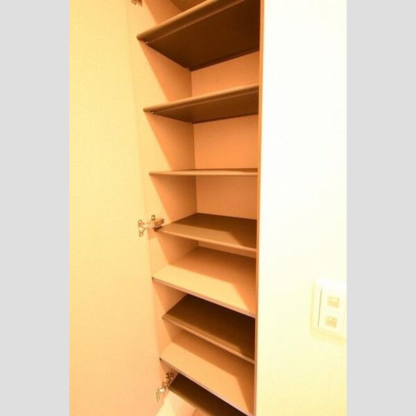 オーガスト螢101号室 玄関横シューズボックス