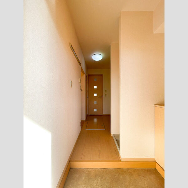 セジュール富士見 玄関