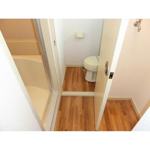 エステートピアグレイス202号室 洗面