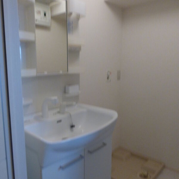 ニューランホープ 洗面所