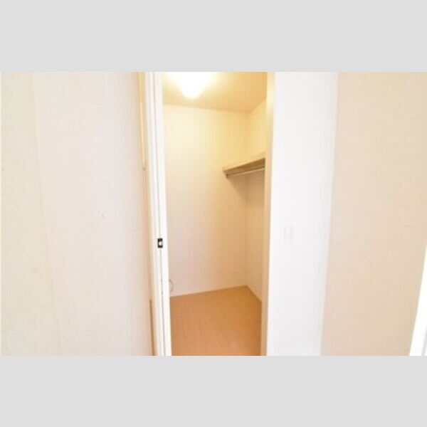 アルスノーヴァⅡ クローゼット