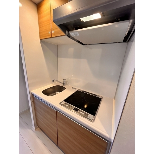 エムズイースト亀戸Ⅱ1002号室 2026年1月撮影