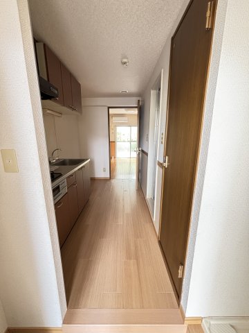 プレミール壱番館0305号室 玄関