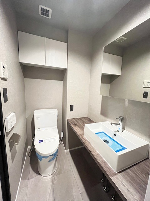 レジディア新宿イーストⅡ 洗面