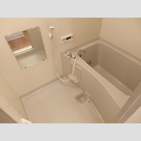 リビングタウン松ヶ島　B305号室 浴室