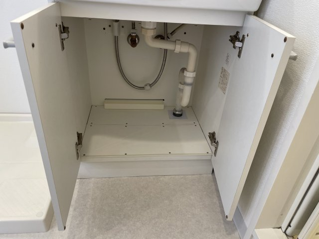 クレアール巣鴨302号室 洗面