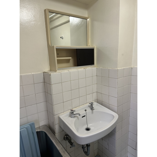 ハイネス大久保 洗面