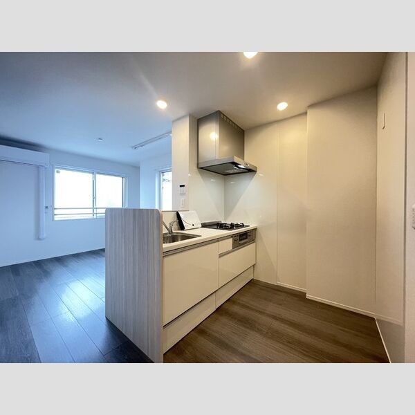 D Paina 神大寺301号室 キッチンスペース