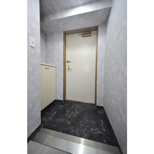 メゾン・ド・ヴィレ千駄木 玄関