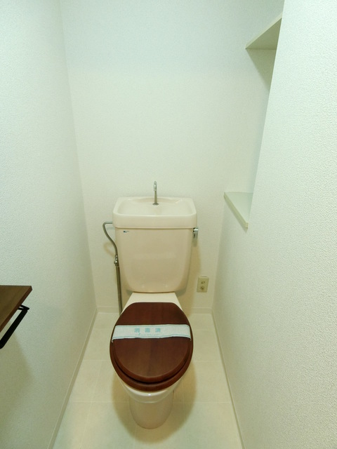 ＳＡＮＫＯ　ＨＥＩＧＨＴＳ　ＯＳＡＫＩ0313号室 トイレ