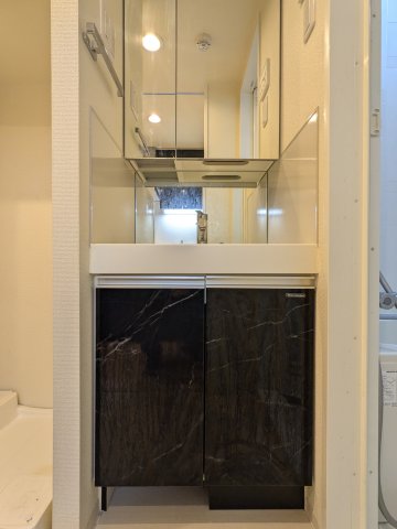 アジールコート東大井510号室 洗面