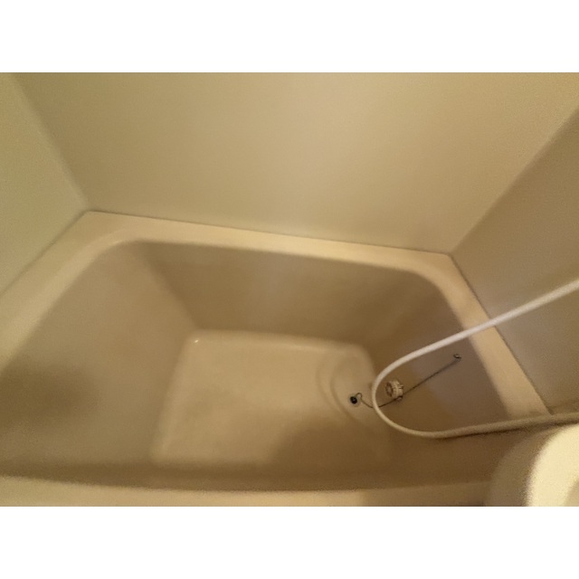 清新三興ハイツA-41号室 同建物別部屋の参考画像