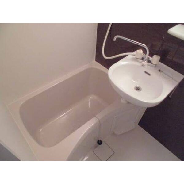 ラ・カンパネラ中央林間0102号室 洗面