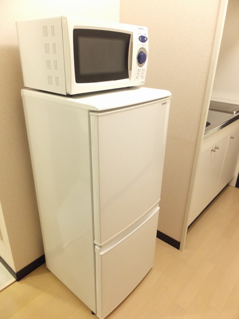 レオネクストメゾンボナール208号室 大型家電設置済み