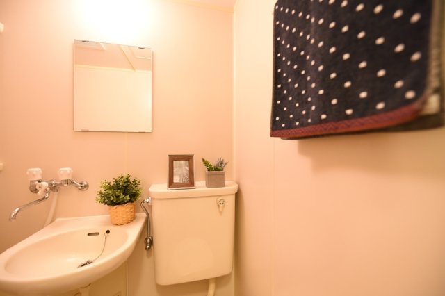 菱和パレス旗の台303号室 同建物別部屋の参考画像