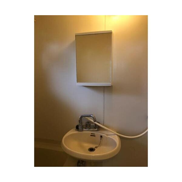 レプリントンハイツA棟103号室 洗面